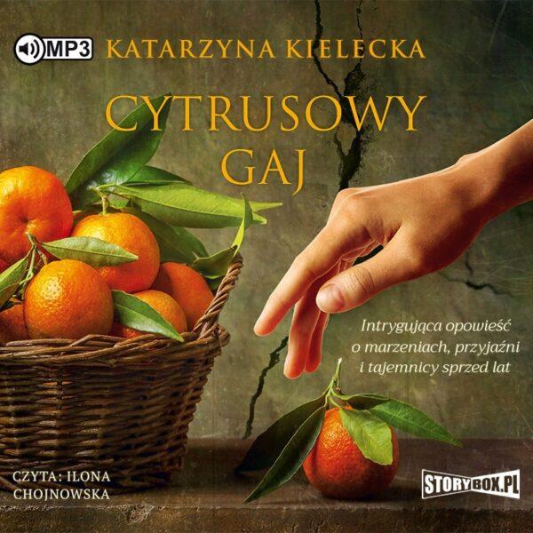 Cytrusowy gaj