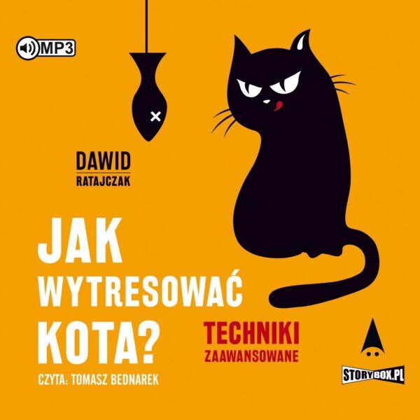 Jak wytresować kota? Techniki zaawansowane