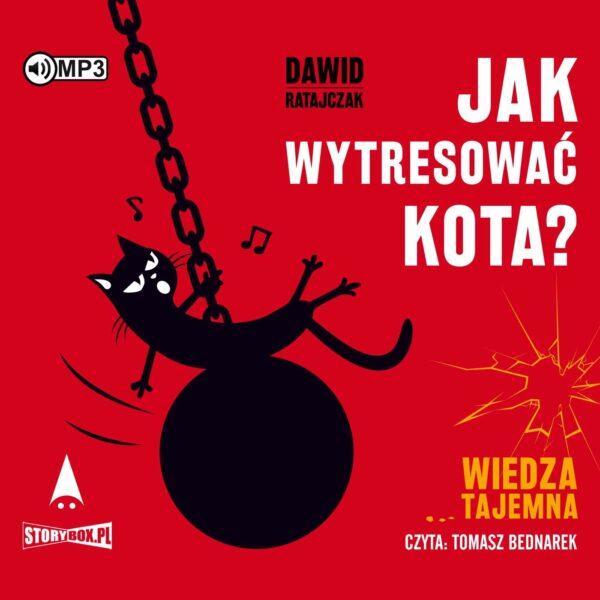 Jak wytresować kota? Wiedza tajemna