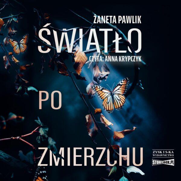 Światło po zmierzchu